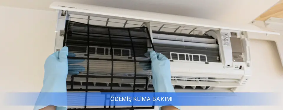 Ödemiş İlçemi Klima Bakımı